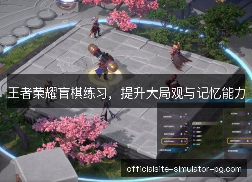 王者荣耀盲棋练习，提升大局观与记忆能力